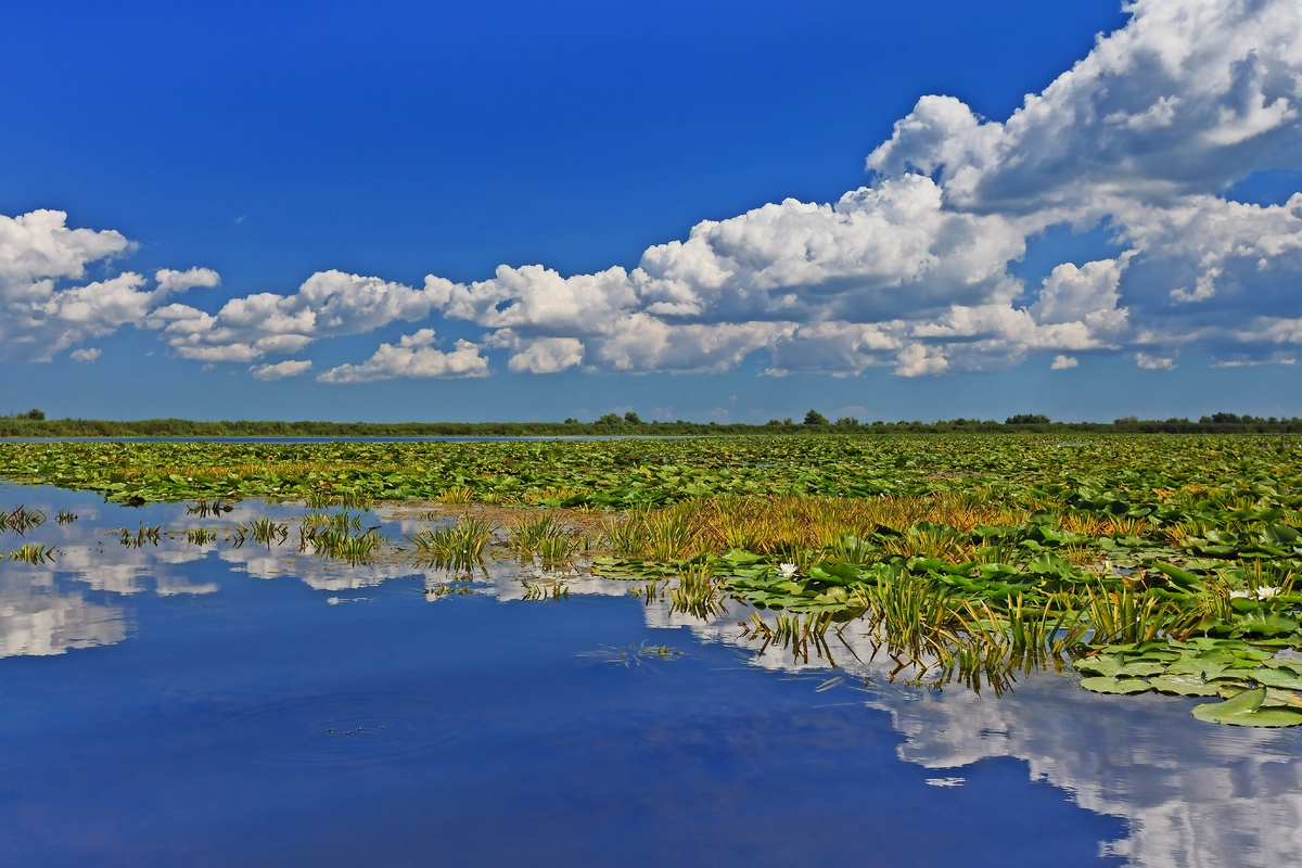 Frauenkirche, Dresden - © shutterstock_210361501