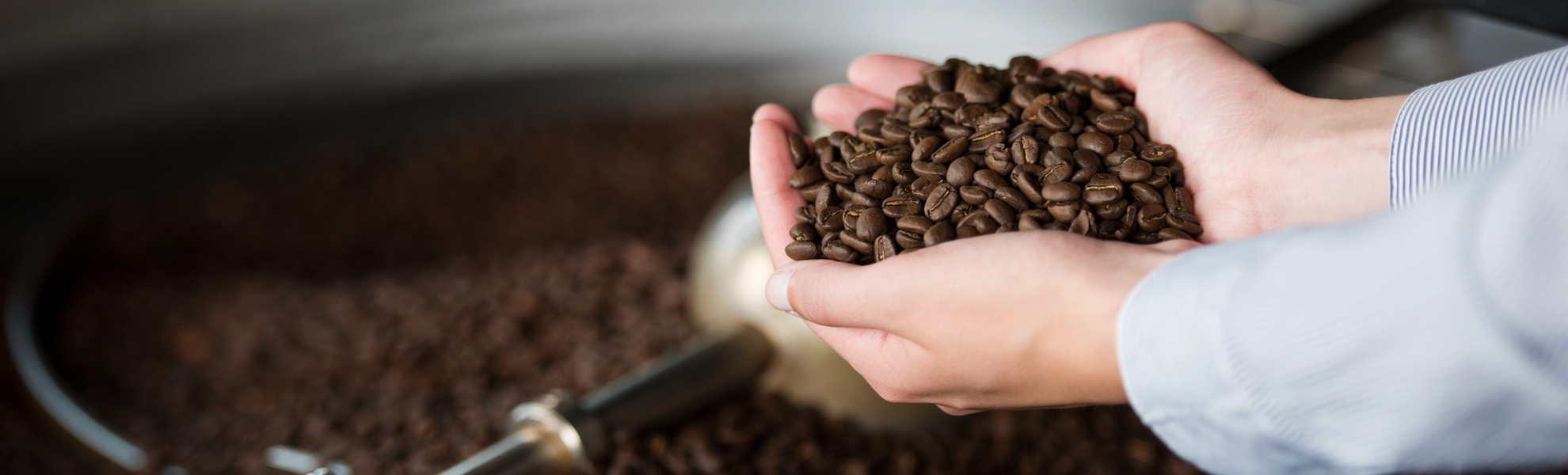 Frau in der Rösterei hält Kaffeebohnen in der Hand - © contrastwerkstatt - stock.adobe.com