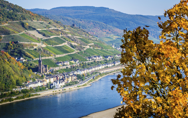  Rhein-Metropolen-Tour mit Thurgau Prestige