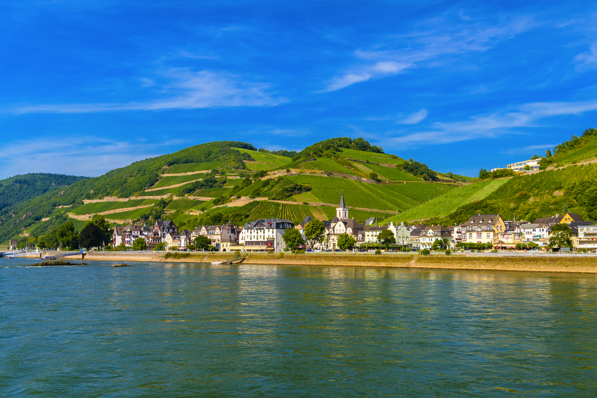 Weinberge in Rüdesheim  - © Eagle2308 - stock.adobe.com