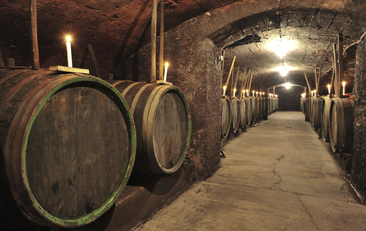 Reisfelder - ©ducvien - stock.adobe.com