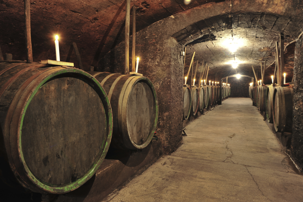 Reisfelder - ©ducvien - stock.adobe.com