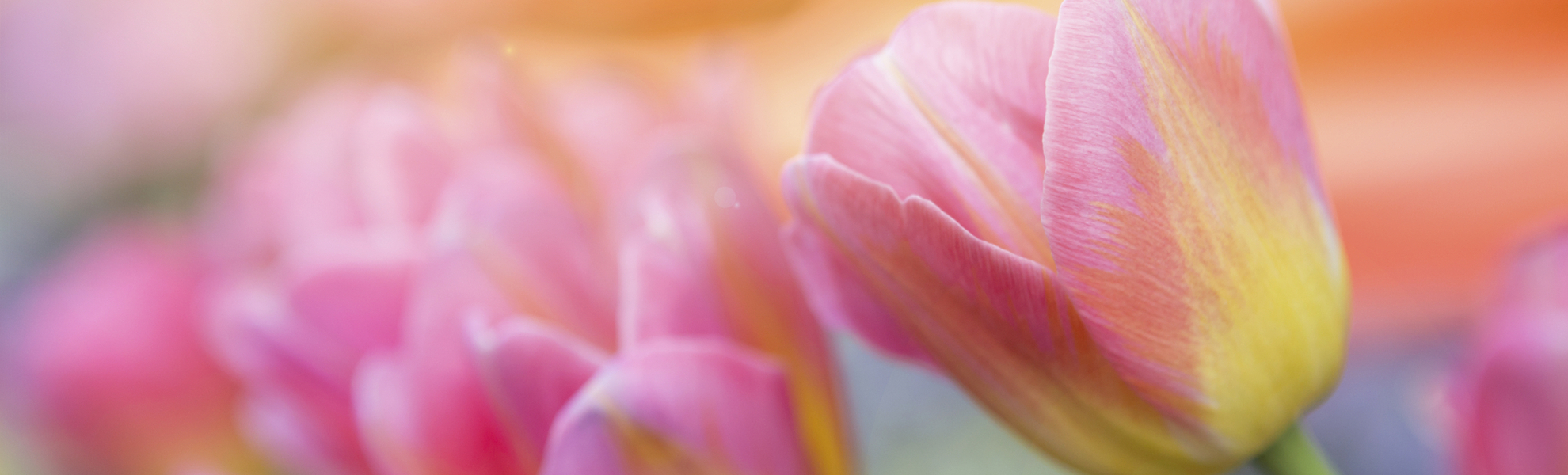 1013458746 - © Getty Images/iStockphoto