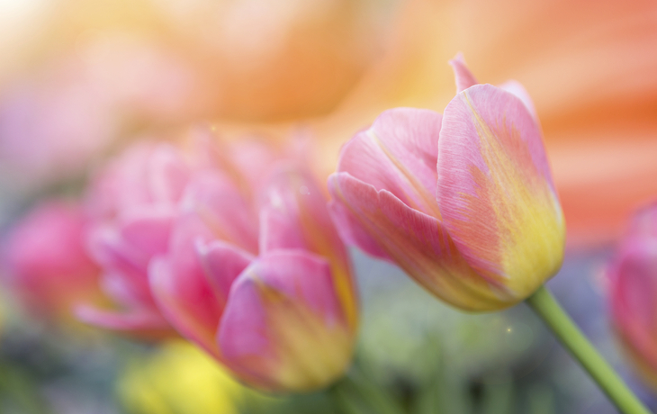 1013458746 - © Getty Images/iStockphoto