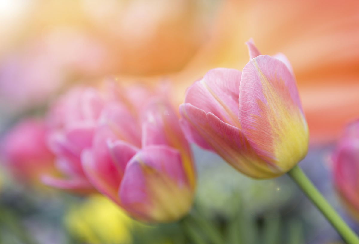 1013458746 - © Getty Images/iStockphoto