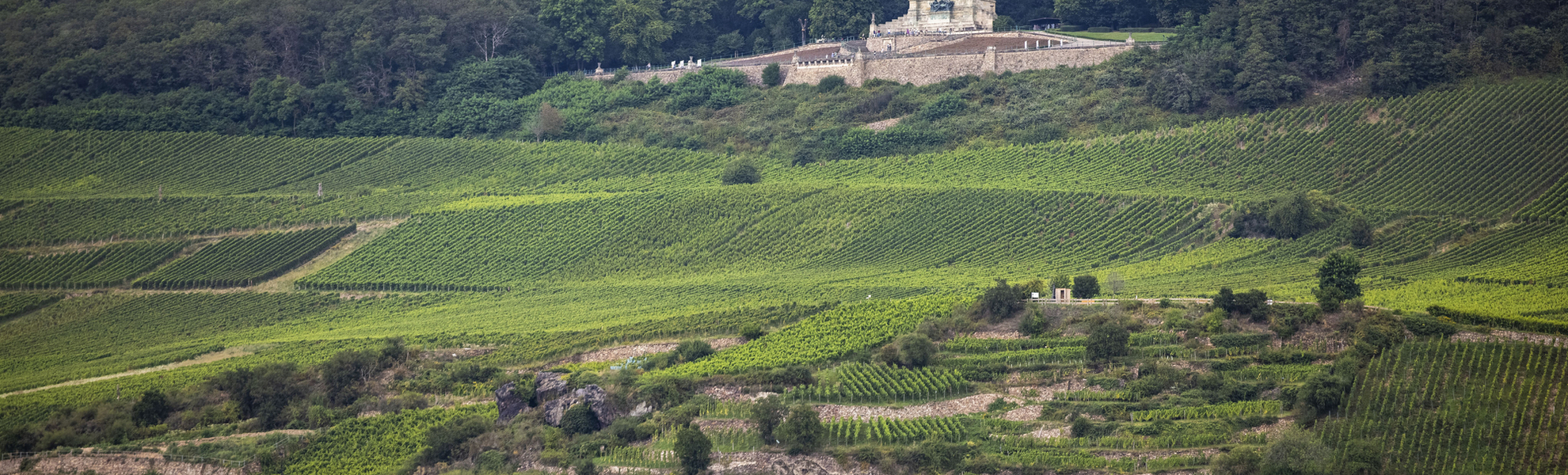 Niederwalddenkmal, Rüdesheim - © Holger Leue / www.leue-photo.com