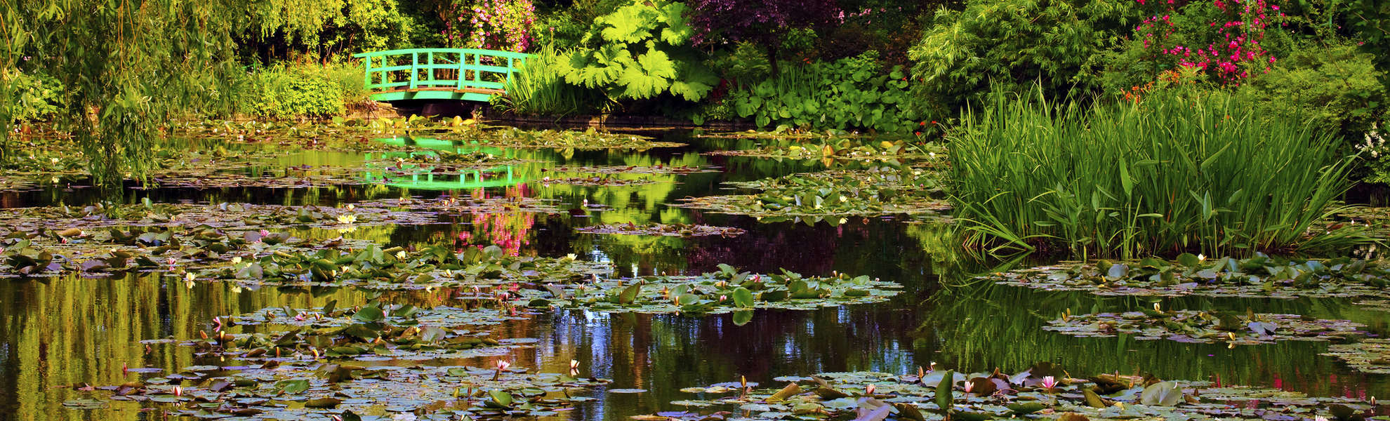 Monets Garten, Giverny - © Â©aterrom - stock.adobe.com