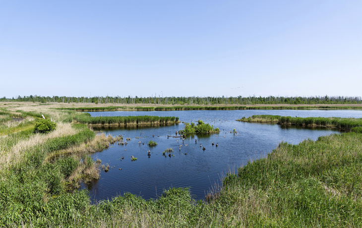 Typisches Haus auf dem Tonle Sap See, Kambodscha - © Lukasz Janyst - stock.adobe.com