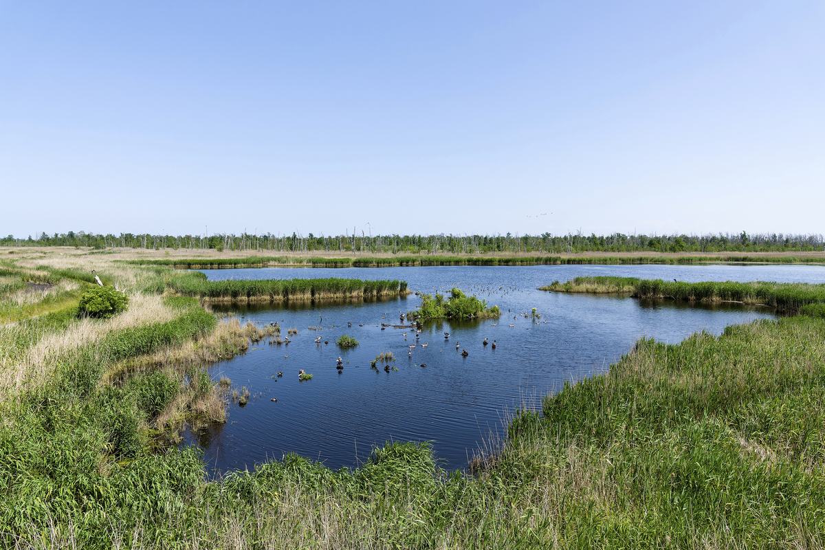 Typisches Haus auf dem Tonle Sap See, Kambodscha - © Lukasz Janyst - stock.adobe.com
