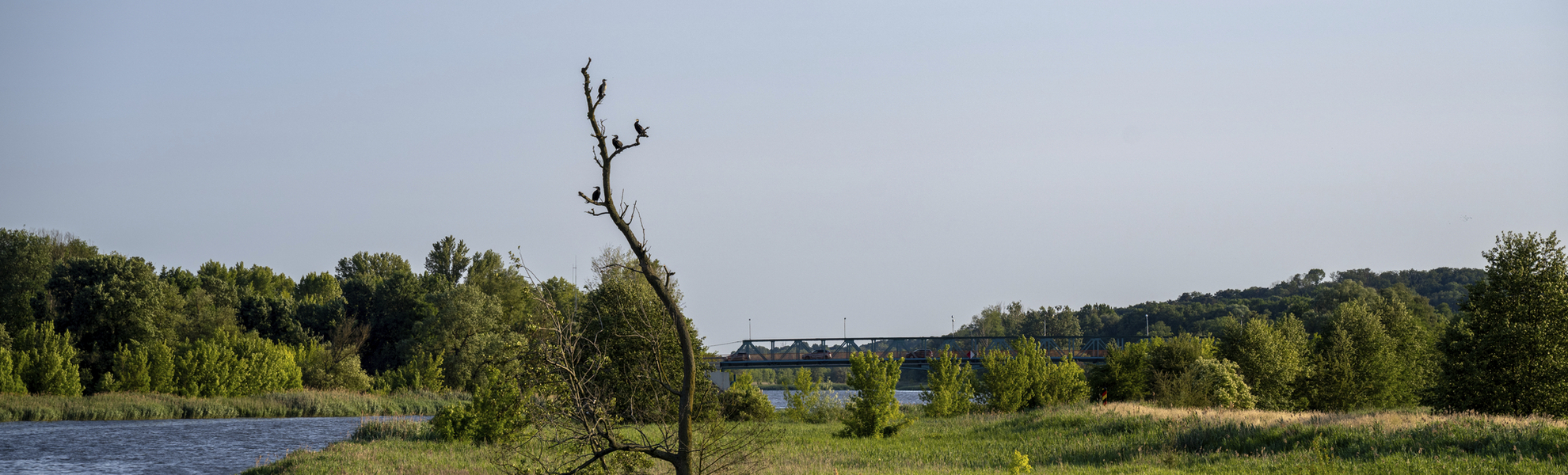 Entlang der Alten Oder