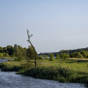 Entlang der Alten Oder