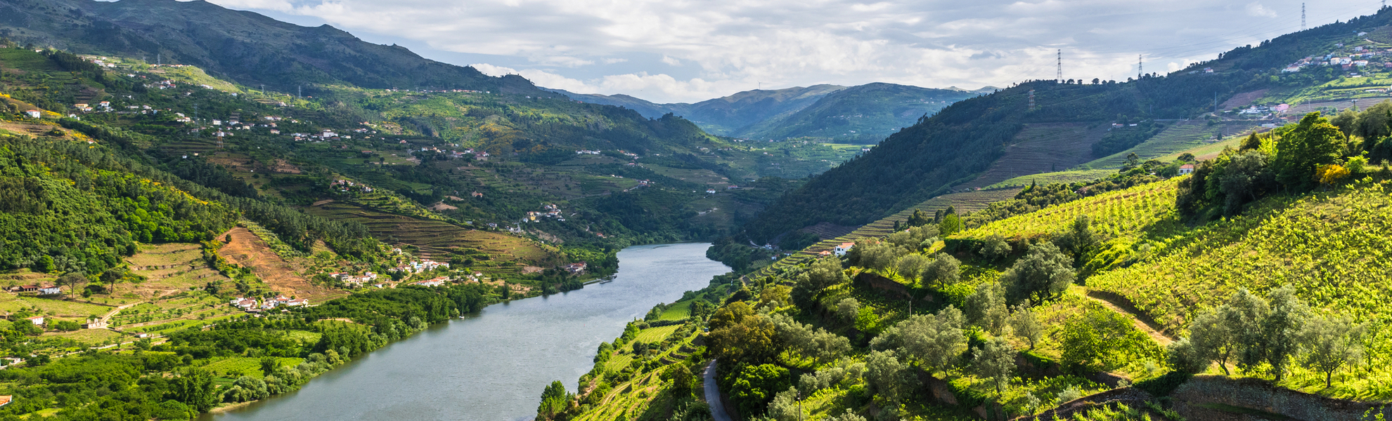 Weinberge im Douro Tal - © Simon Dannhauer - stock.adobe.com
