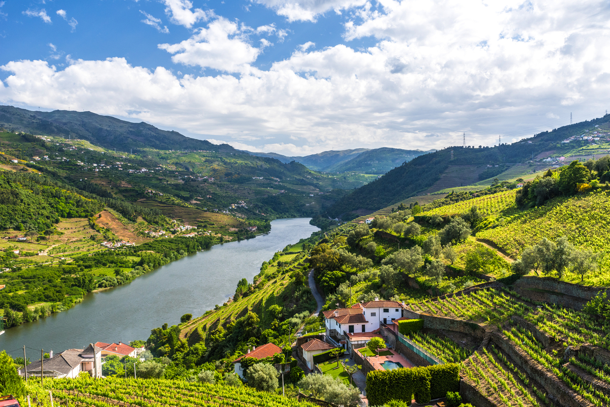 Weinberge im Douro Tal - © Simon Dannhauer - stock.adobe.com