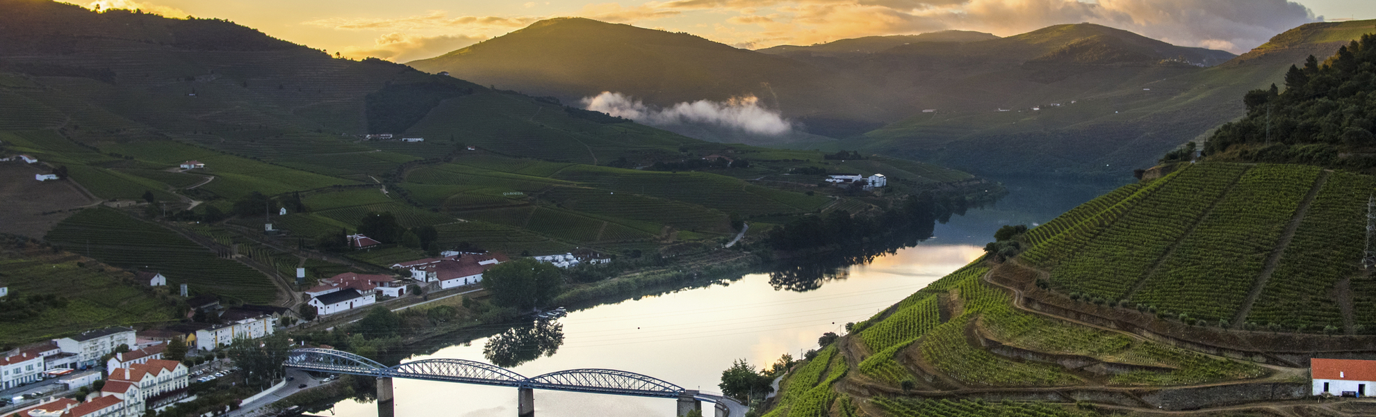 MS Douro Spirit - © 