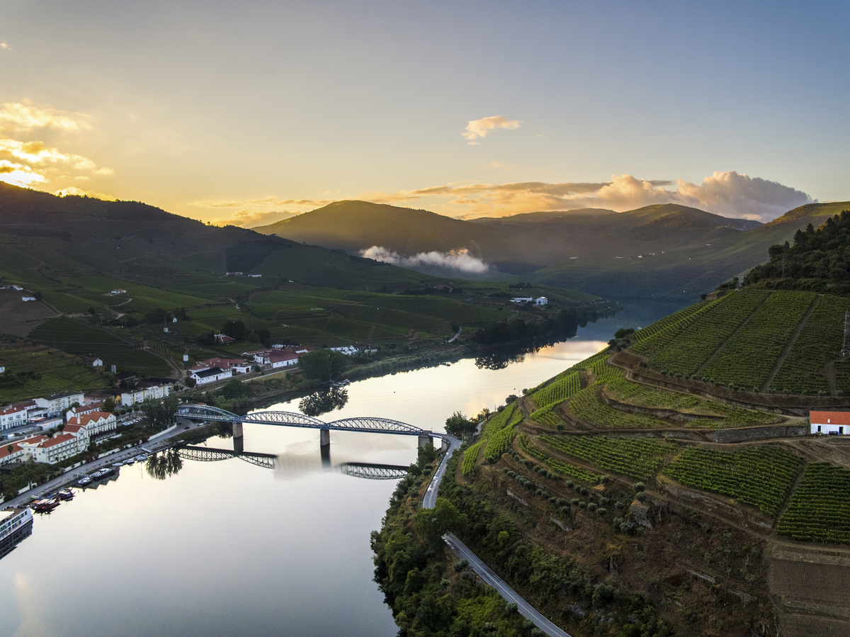 MS Douro Spirit - © 