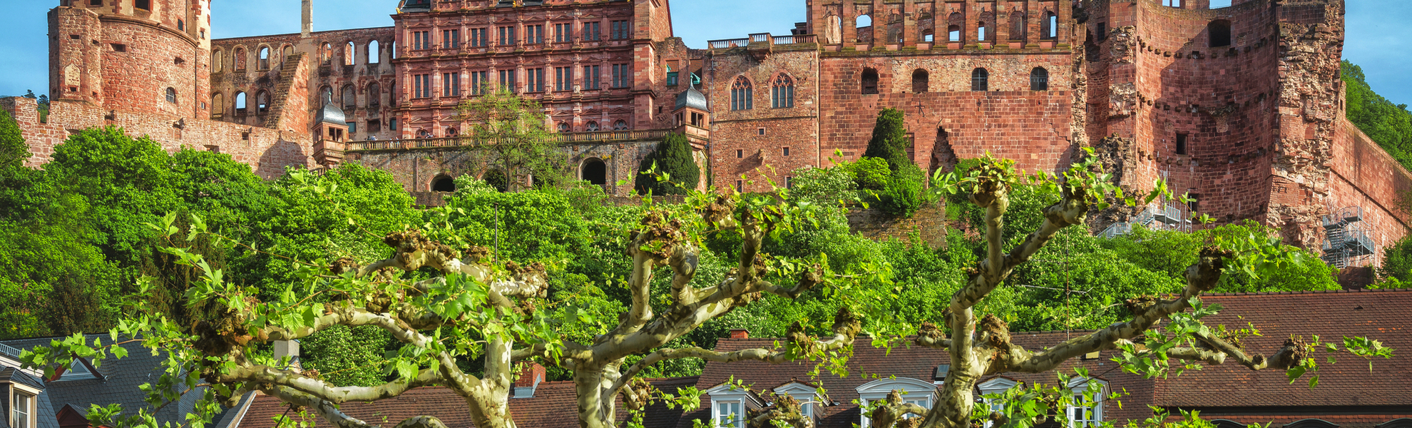Heidelberger Schloss - © Thorsten Assfalg - stock.adobe.com