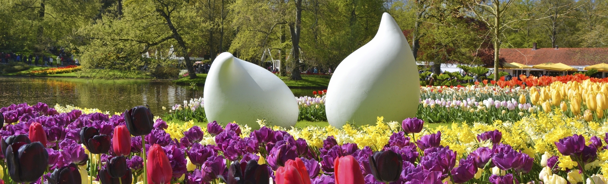 Keukenhof