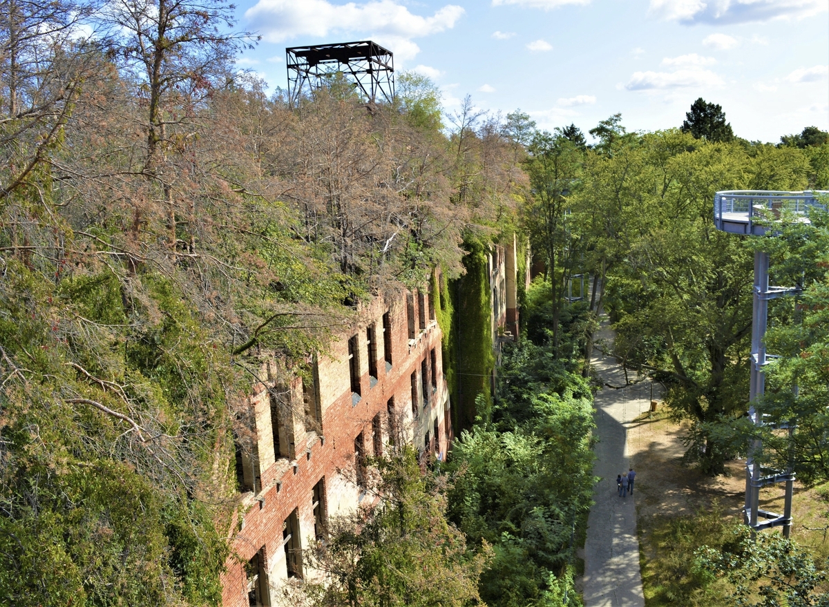 Baumwipfelpfad Heilstätten Beelitz