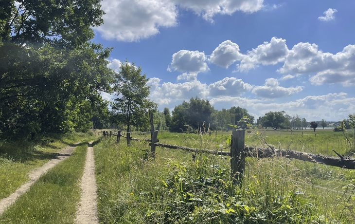 Wanderung bei Wolgast auf Usedom