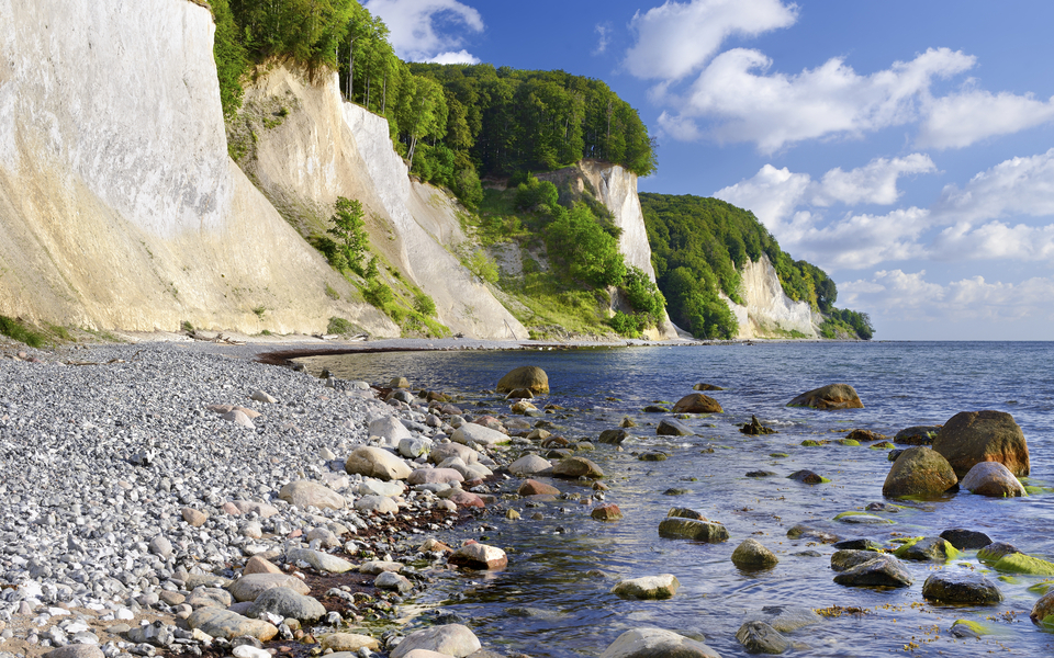 Kreidefelsen, Insel Rügen - © Francesco Carovillano