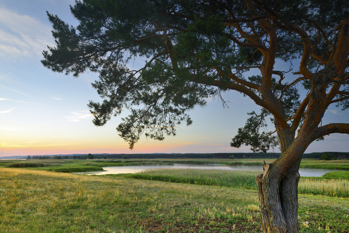 Nationalpark Unteres Odertal - © Francesco Carovillano