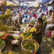 Blumenmarkt, Kalkutta