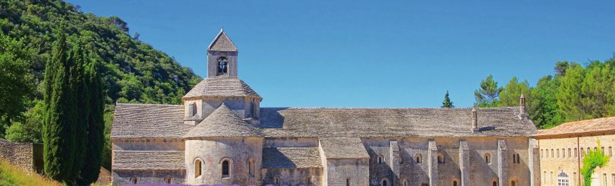Senanque - © LianeM - Fotolia