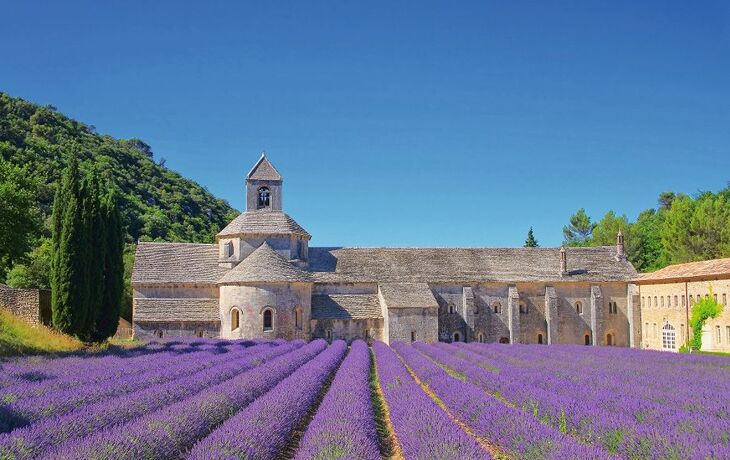 Senanque - © LianeM - Fotolia