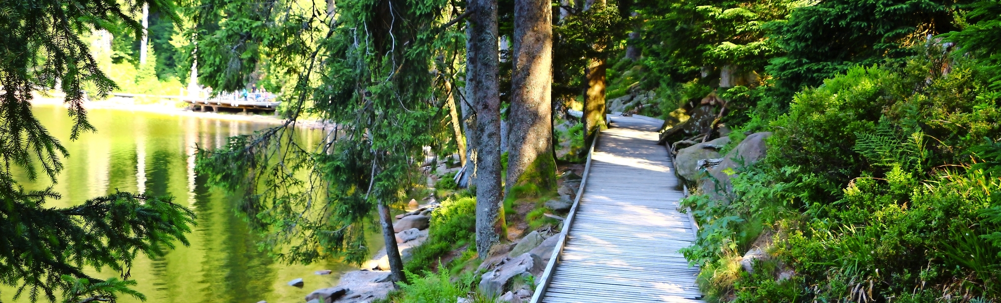 Holzsteg am Mummelsee im Schwarzwald, Deutschland - © Pixel62 - stock.adobe.com
