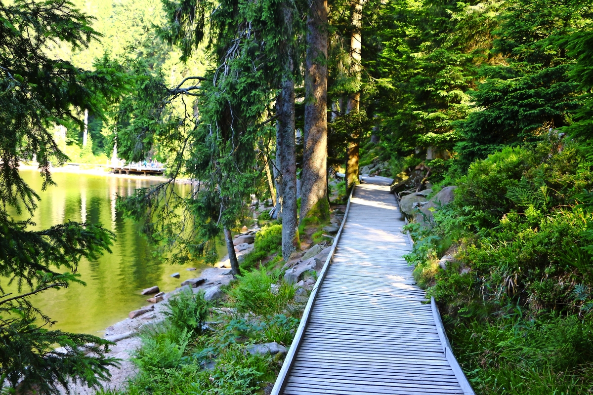 Holzsteg am Mummelsee im Schwarzwald, Deutschland - © Pixel62 - stock.adobe.com