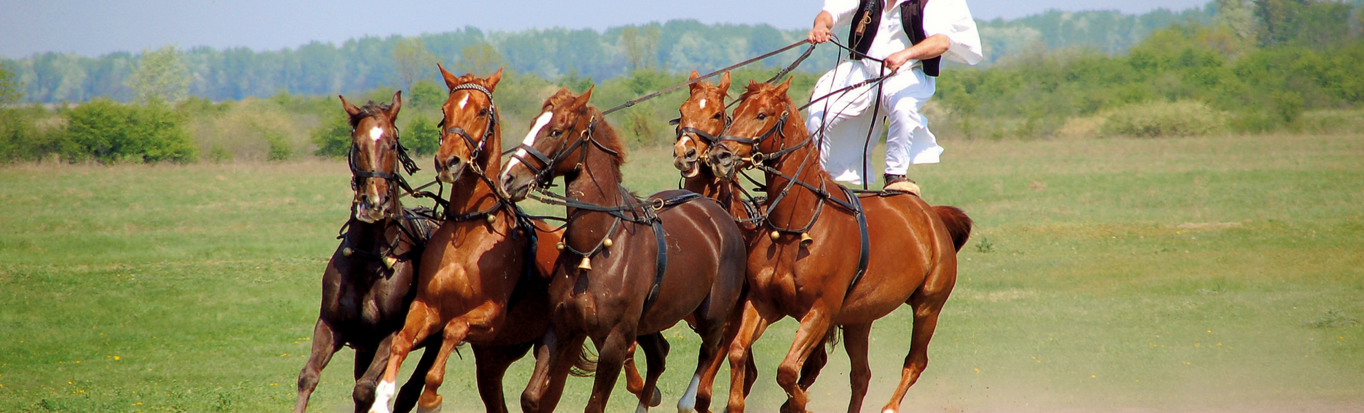 Reitvorführung, Puszta