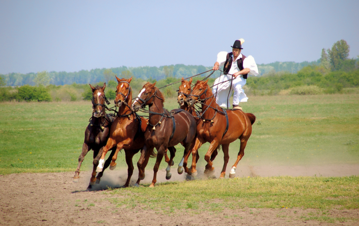 Reitvorführung, Puszta