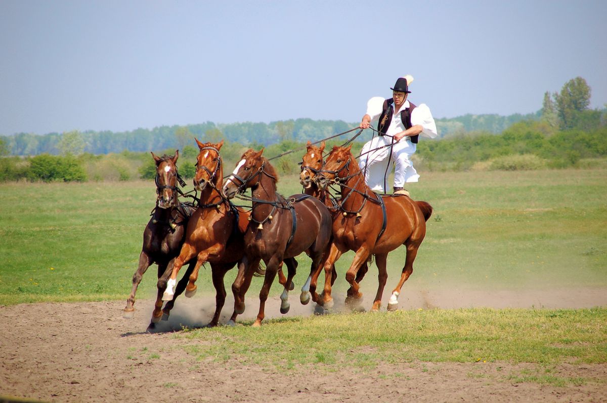 Reitvorführung, Puszta