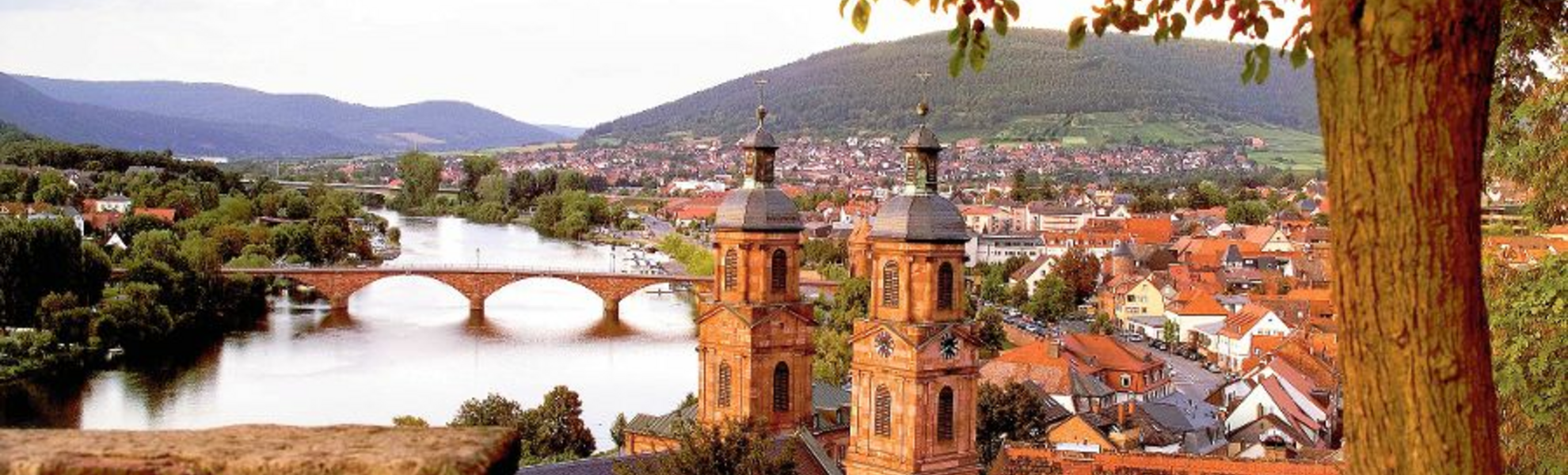 Blick über Miltenberg - © Odenwald Tourismus GmbH