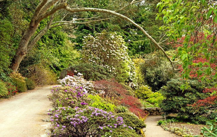 Inverewe Garden - © Siobhan Fraser - stock.adobe.com