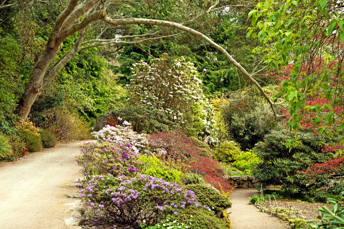 Inverewe Garden - © Siobhan Fraser - stock.adobe.com